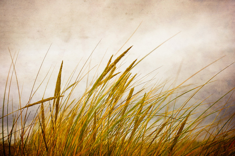 Photo of the Day: Autumn Winds